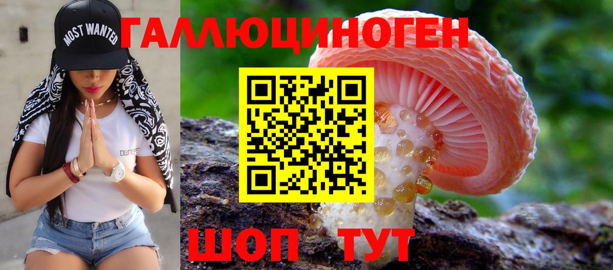 Галлюциногенные грибы Magic Shrooms  Вход с VPN  Псилоцибиновые грибы Magic Shrooms  Горно-Алтайск 